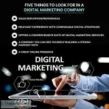 Best SEO Company in India Delhi Kanpur