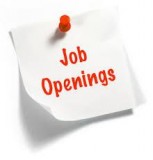 Openings In Top MNC Companies