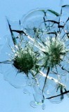 Excellent Windscreen Replacement Service