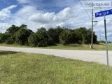 WOW CHEAP LOT IN FORT MYERS FL