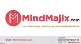 Pega Online Training