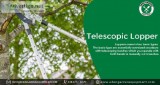 Telescopic Lopper