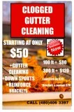 Gutter Cleaning Services