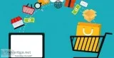 Excellent and Affordable Ecommerce Development Services in Delhi