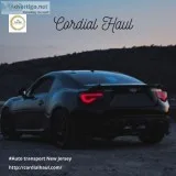Hauling Cars Auto Transport in USA