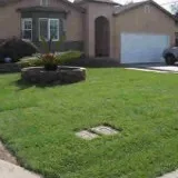 Landscaping Service in Sacramento