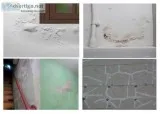 External wall Leakage waterproofing Services