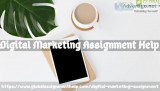 Searching for digital marketing assignment help online at an aff