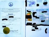 NYC EXPRESS PASSPORT APOSTILLE SERVICES (NY Online and Manhattan