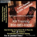 We control your dog 