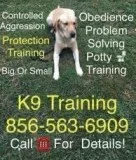 Obediencia Problem Dogs