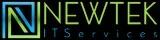 The Newtek website development company in orlando.