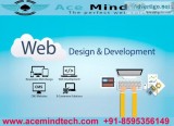 Website development Expert in Delhi  NCR