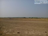 Non Agricultural Commercial Land for Sale at Panchi  Dholera SIR