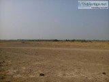 Non Agricultural Commercial Land for Sale at Panchi  Dholera SIR