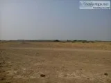 Non Agricultural Commercial Land for Sale at Panchi  Dholera SIR