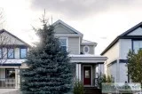 172 Copperfield Gardens SE Calgary AB T2Z 4C2