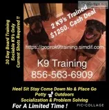 Solving all breed dog problems