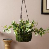 Home Decor in Chennai Buy Home Decor Items Online in India Woode