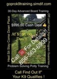 Dog obedience programs