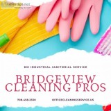 Bridgeview Cleaning Pros