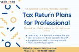 Tax return plans for professional  clicknTax