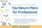 Tax return plans for professional  clicknTax