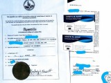 UKRAINIAN APOSTILLE SERVICES (ALL Legal Corporate and Academic D