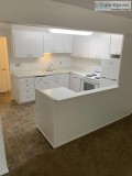 1 Bedroom in Bellevue One Month Free