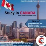 Study in Canada