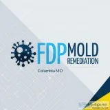 FDP Mold Remediation  Mold Remediation Columbia