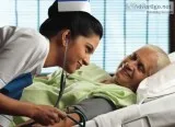 Need ExperiencedFresher Nurses