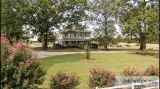 SC Historic Home with Acreage Auction