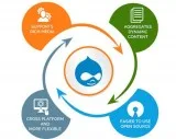 Top-Notch Services Of Drupal Web Development In India