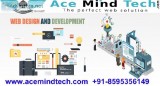 Searching A List of Website Designing Company in Delhi