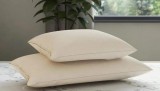Natural Rubber Latex Molded Pillow - BedBreeZzz