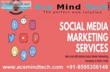Social Media Marketing Company in Delhi Need For Your Business