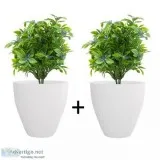 Yuccabe Italia - Offering Best Cluster Pots Online
