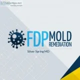 FDP Mold Remediation  Mold Remediation Silver Spring