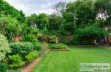 What Care Does Your Tree NEED