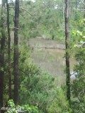 (0.62) Land for Sale in Beaufort  504 Kysers Cove Lane