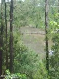 (0.62) Land for Sale in Beaufort  504 Kysers Cove Lane