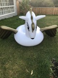 Inflatable Flying Horse  Perfect for Kids and Adults  Jenjo Game
