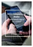 seo company in delhi