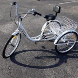 Adult Trike (3 Wheel Bicycle)