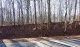 1 Acre Vacant Lot in Chattahoochee Hills GA