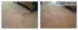 Best Carpet Cleaning Service In Fort Myers