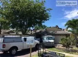 Roofing Services with Commitment