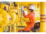 Commercial Gas Engineer