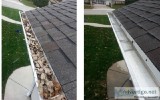 Gutter Cleaning